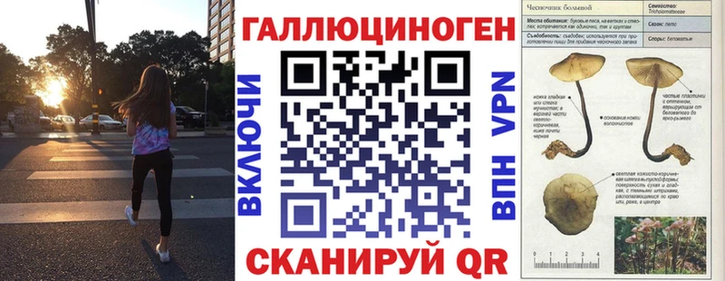 Псилоцибиновые грибы Psilocybine cubensis  купить наркотик  Луга 